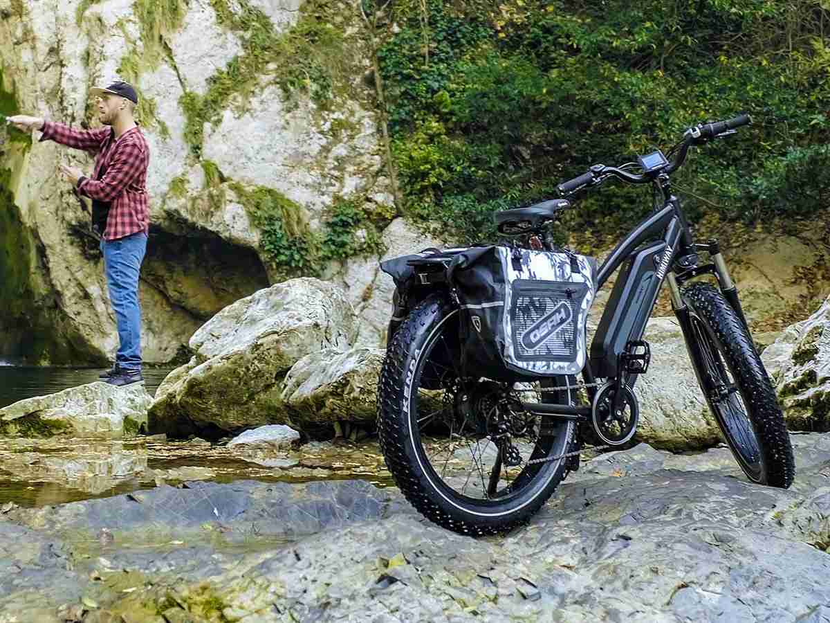 himiway-cruiser-1