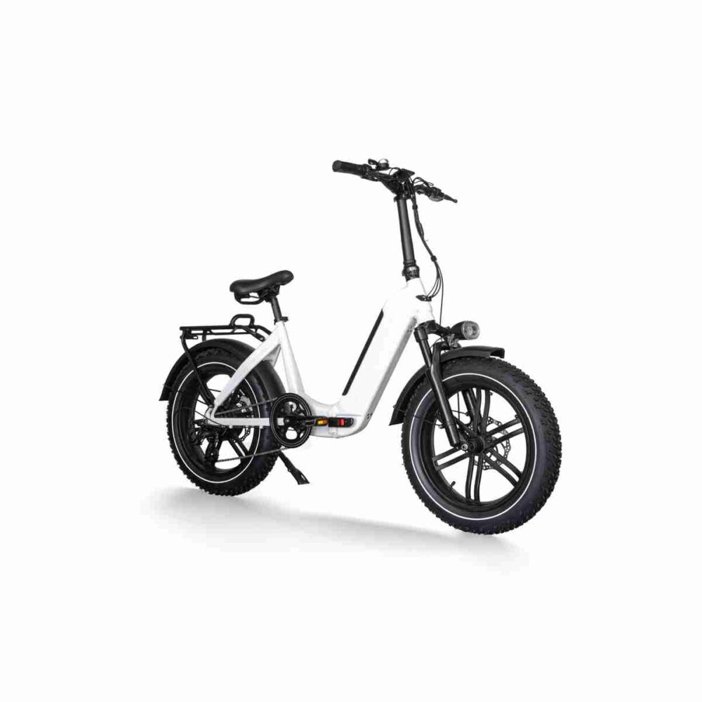 Ebike-Canada-Canadian-Agility-Electric-Fat-Bike-3