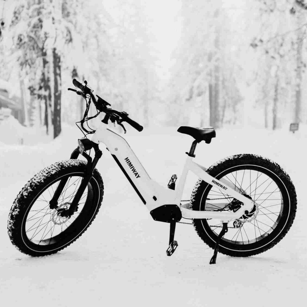 himiway-zebra-ebike-4