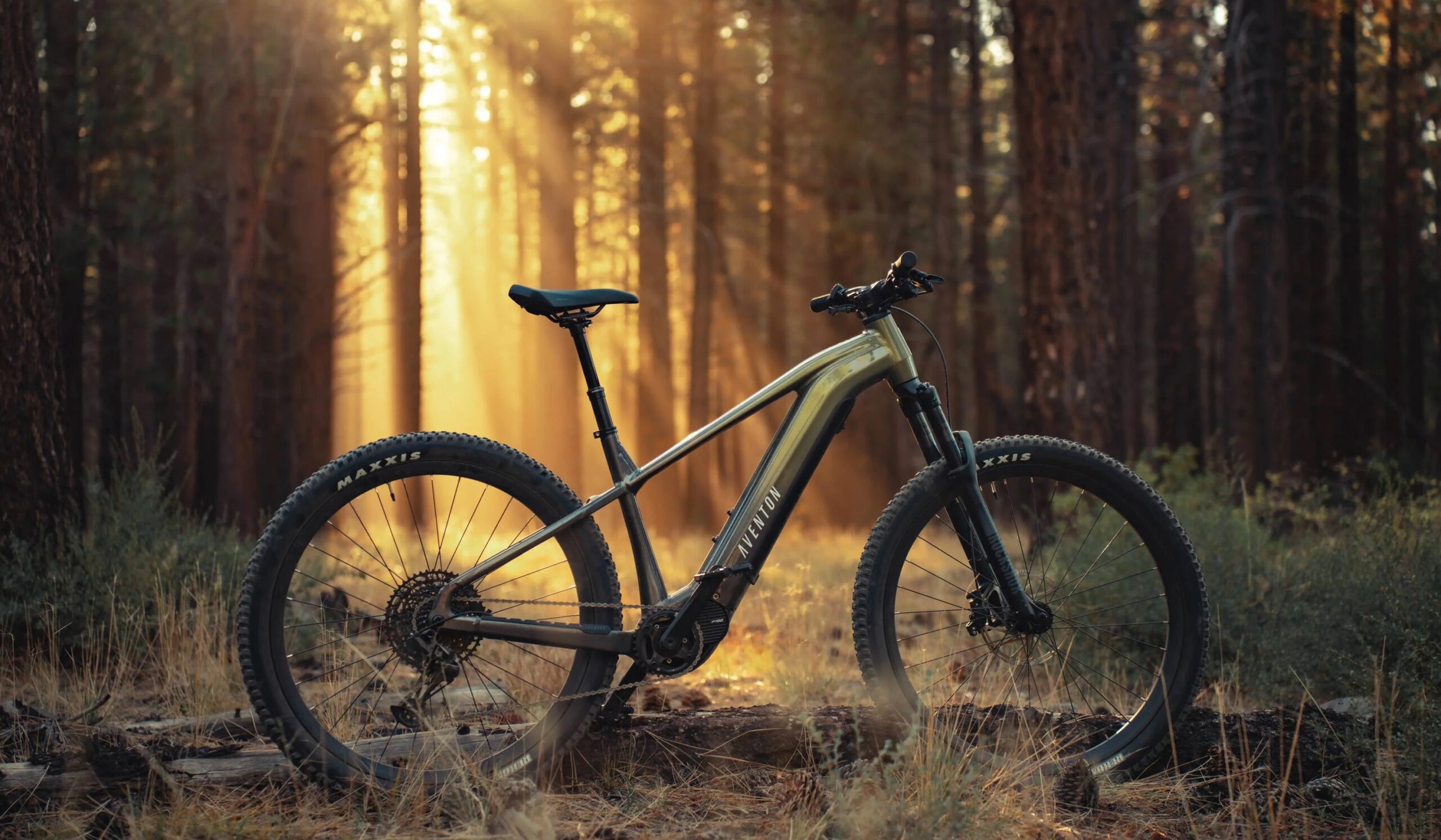 Aventon Ramblas Review