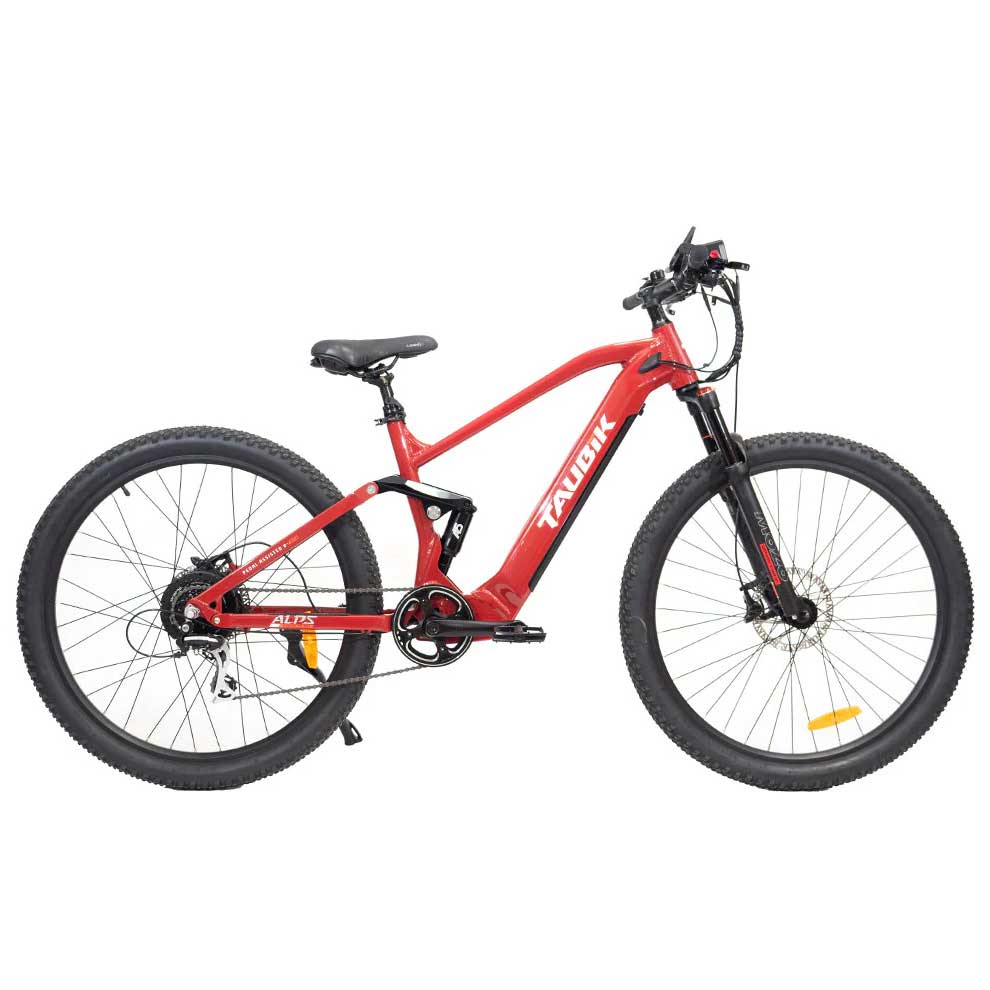 Taubik-Ebike-Alps-1