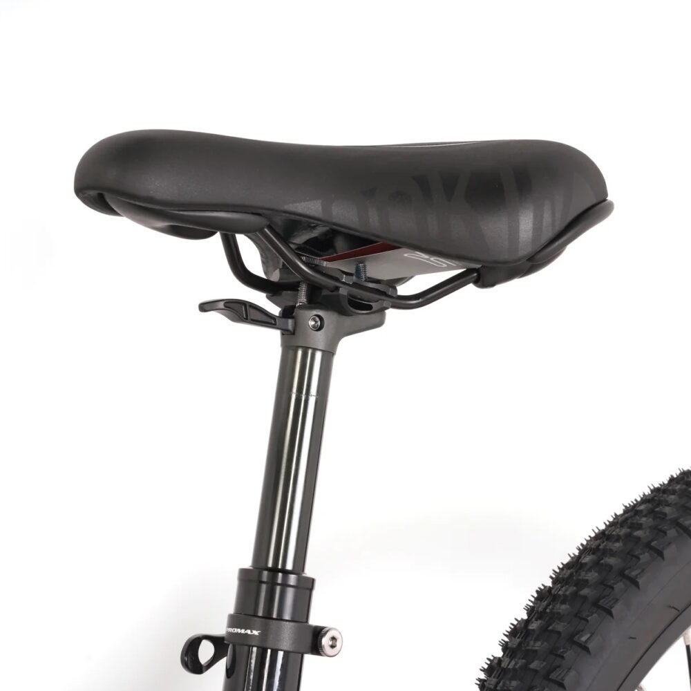 TAUBIK Westridge 29T